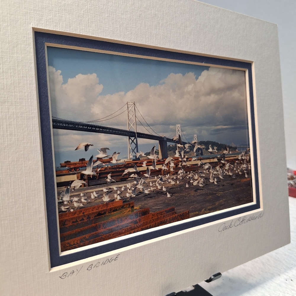 Oakland Bay Bridge And Group Of Seagulls Art Photo By Jack E. Stiddard 5x7/8x10